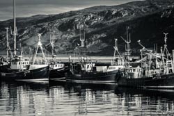 Photo taken by Paulo Bittencourt, freethinker, humanist and atheist