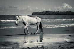 Photo taken by Paulo Bittencourt, freethinker, humanist and atheist