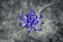 Photo taken by Paulo Bittencourt, freethinker, humanist and atheist