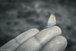 Photo taken by Paulo Bittencourt, freethinker, humanist and atheist