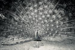 Photo taken by Paulo Bittencourt, freethinker, humanist and atheist