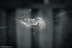 Photo taken by Paulo Bittencourt, freethinker, humanist and atheist