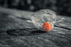 Photo taken by Paulo Bittencourt, freethinker, humanist and atheist