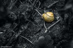 Photo taken by Paulo Bittencourt, freethinker, humanist and atheist